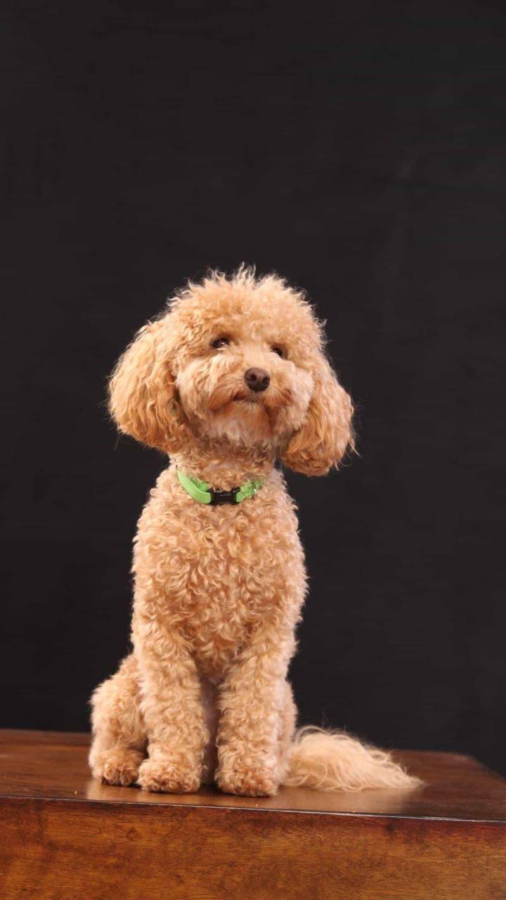 JJ比赛账号绑定别人的手机