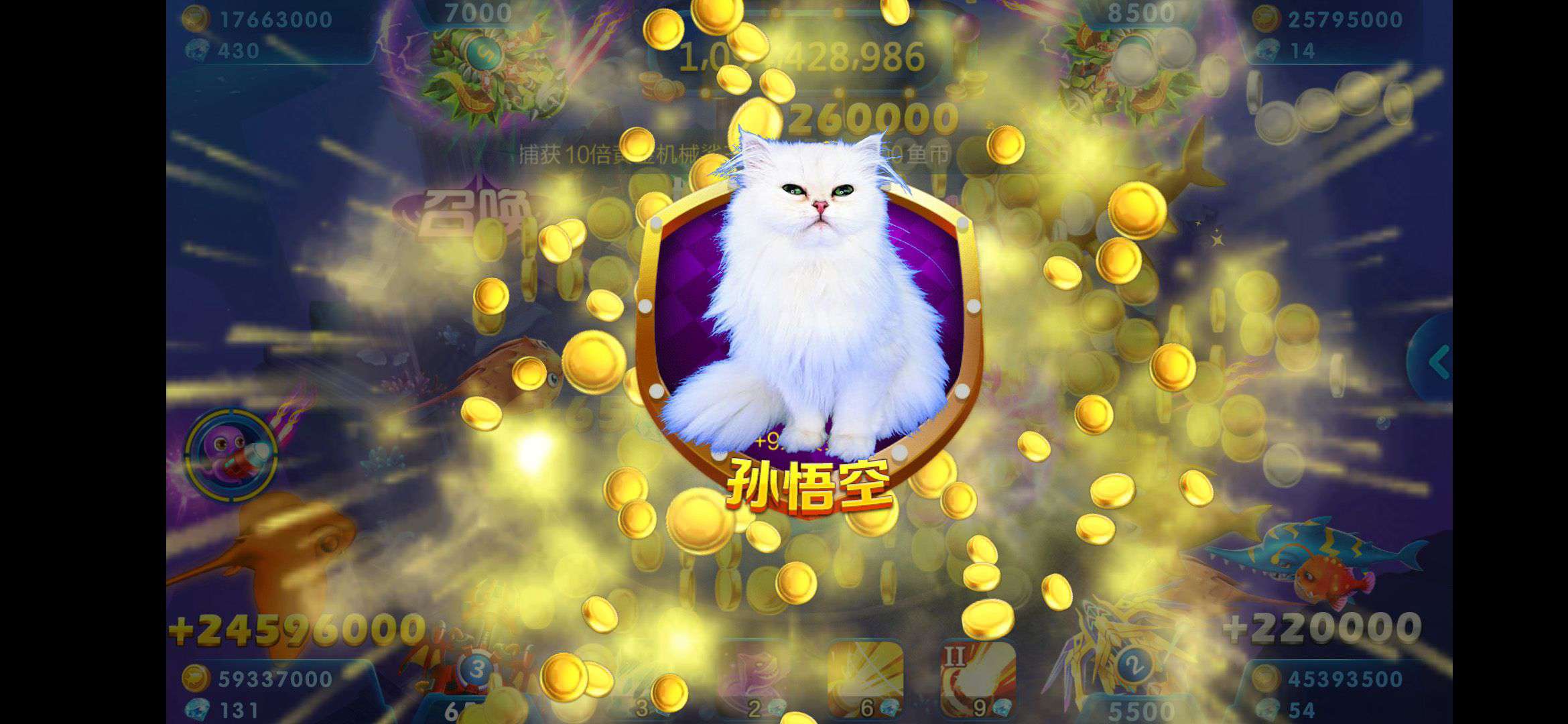 JJ官网人工客服