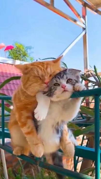 注册JJ斗地主账号