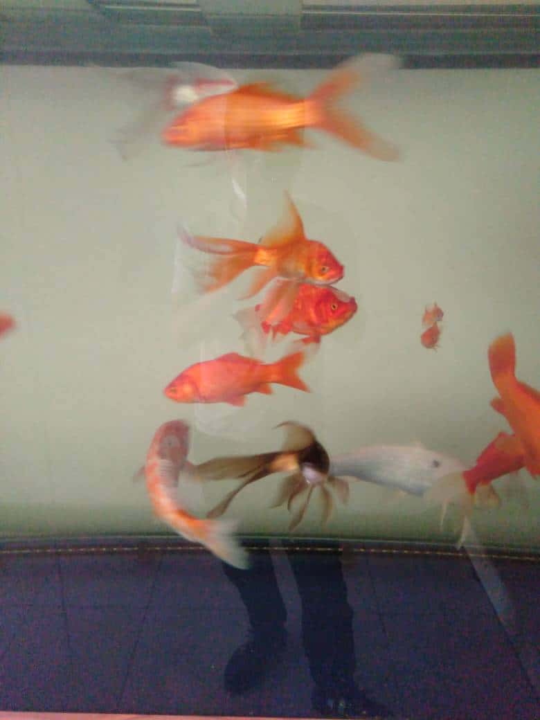 JJ麻将超嗨血流攻略