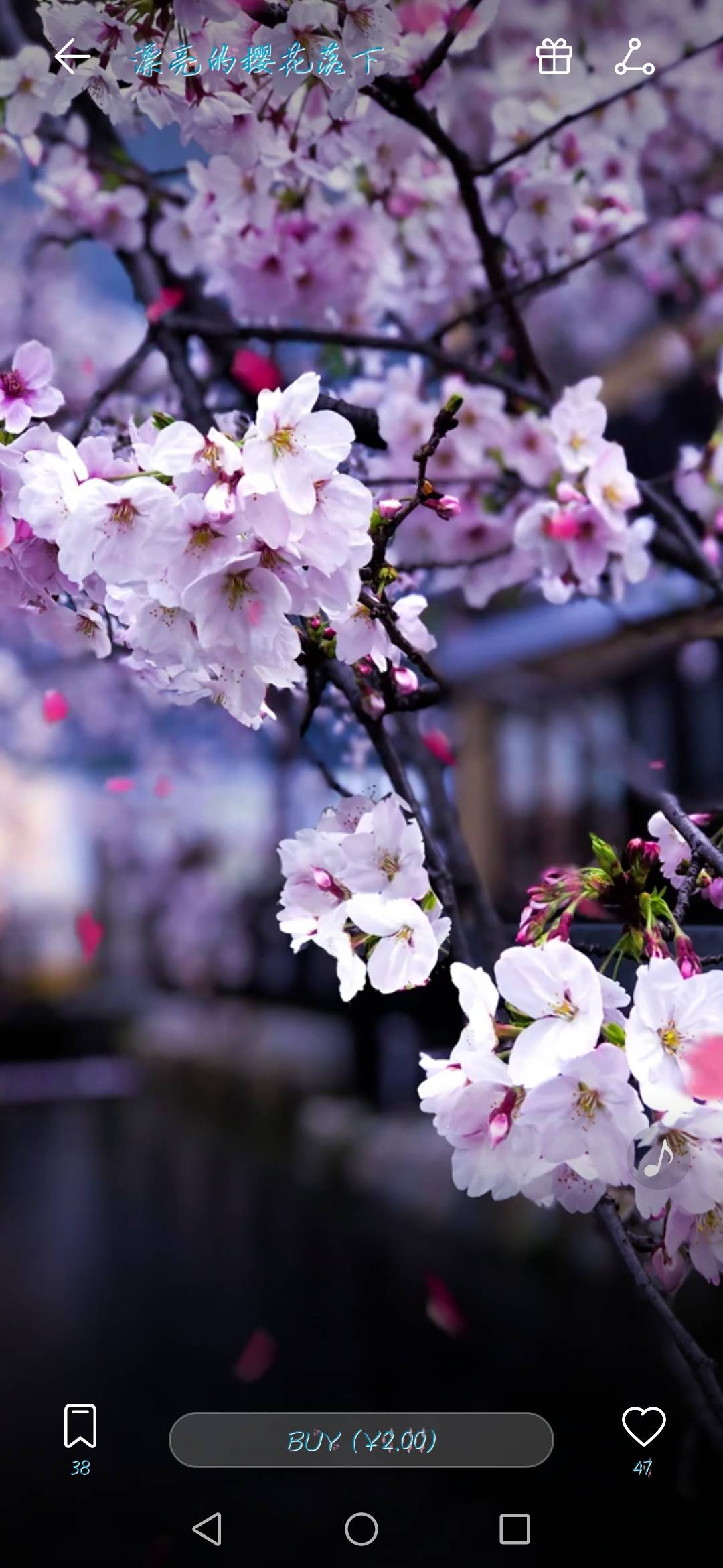 JJ斗地主交易网站