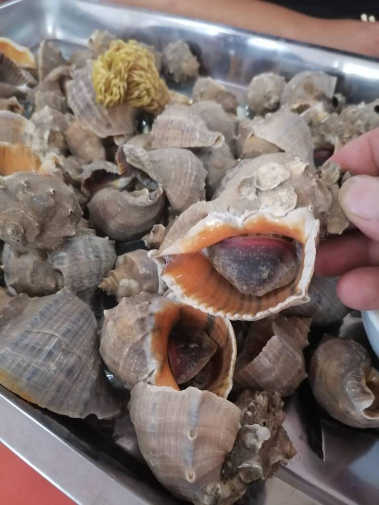 JJ账号交易平台