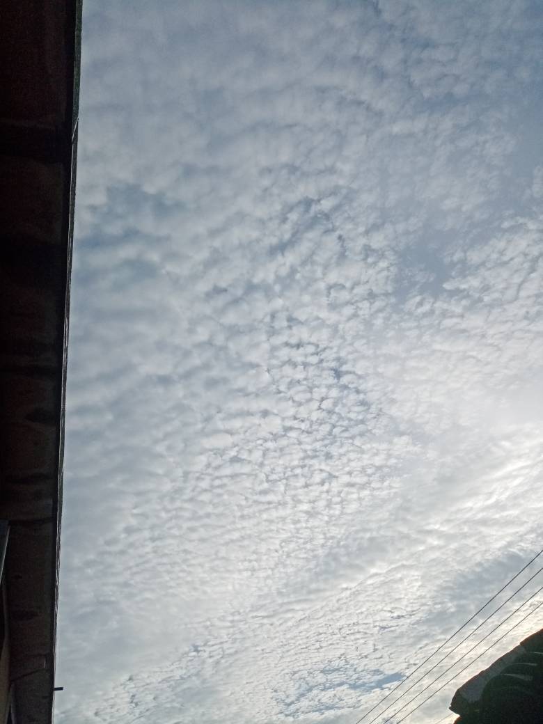 JJ租号诚信金商