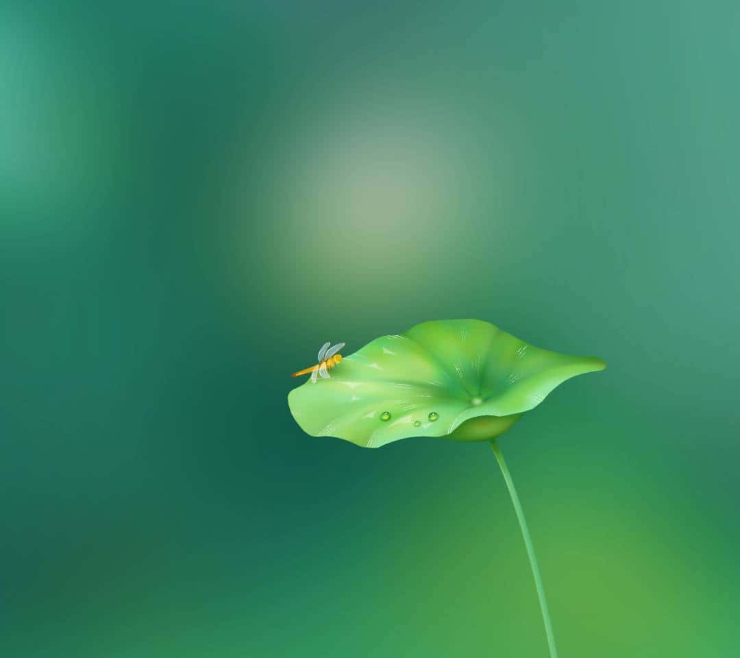 JJ斗地主升级规则