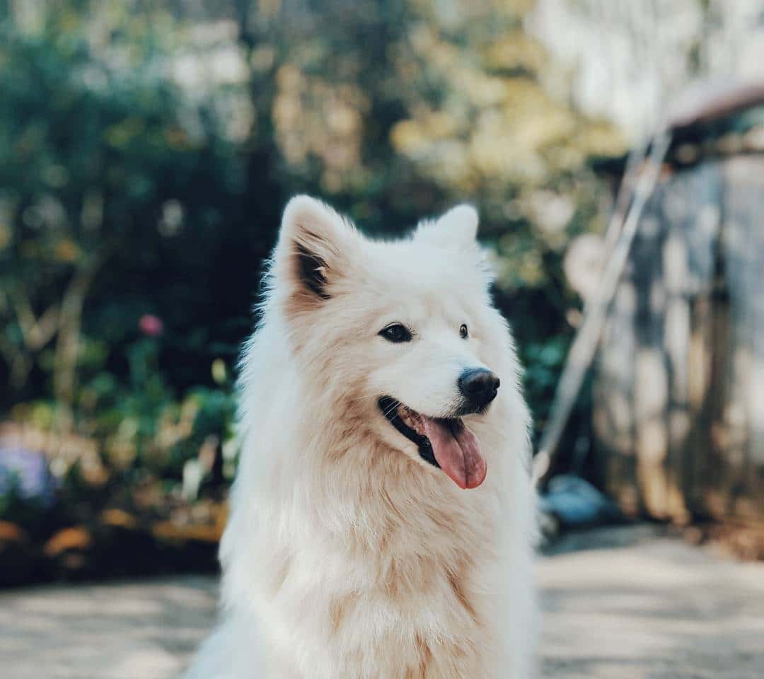 JJ斗地主限制号恢复方法详