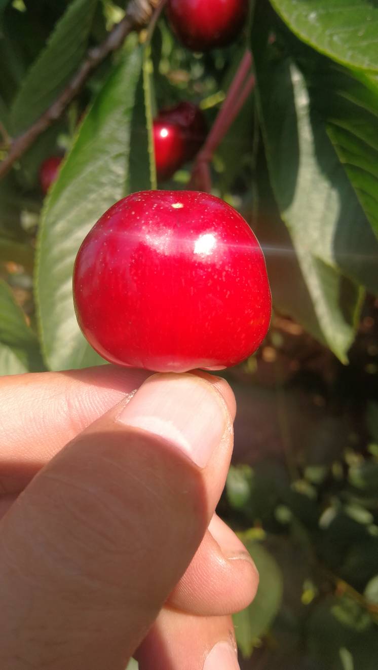 JJ斗地主金豆怎么得