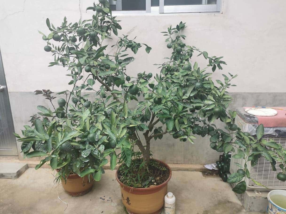 怎么学JJ斗地主里收金币