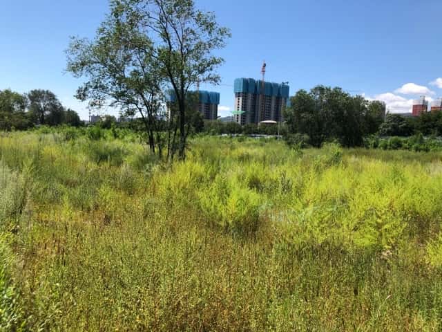 JJ打鱼游戏租号