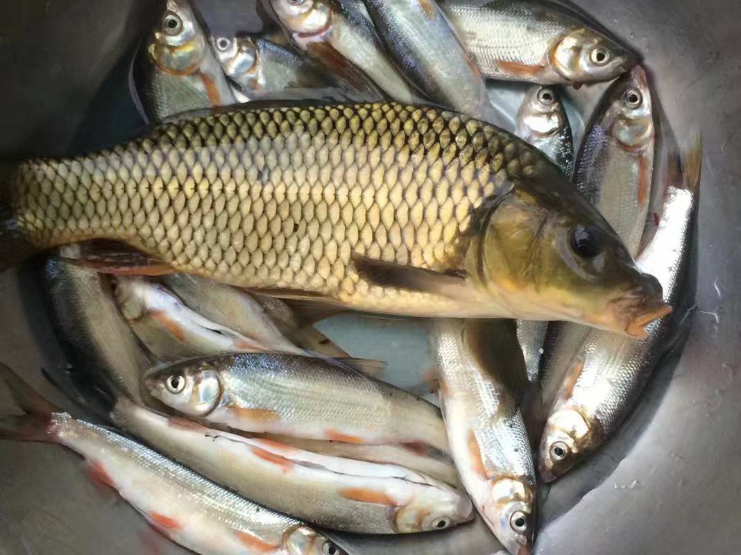 兄弟们、好久不见