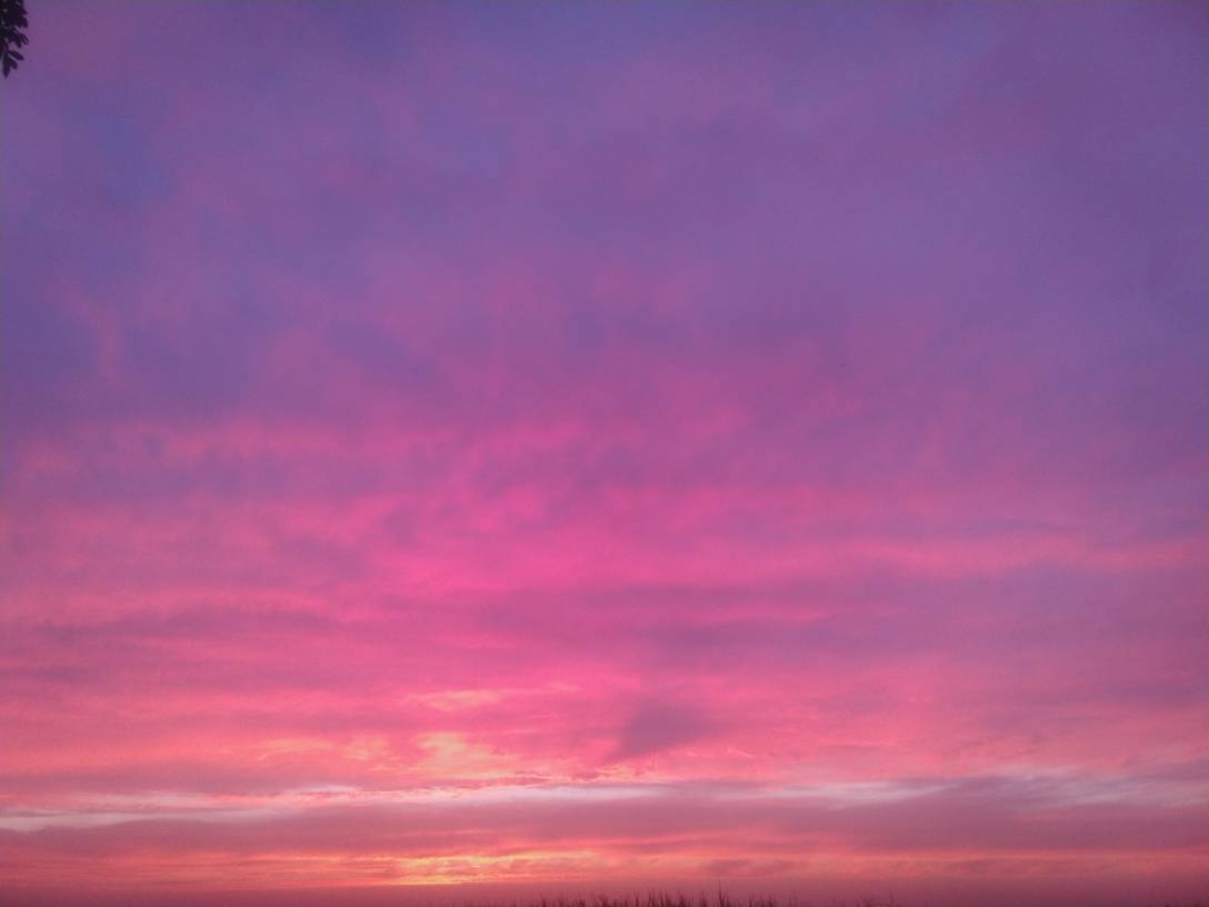 JJ捕鱼炮台攻略