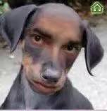 JJ斗地主捕鱼游戏在哪里