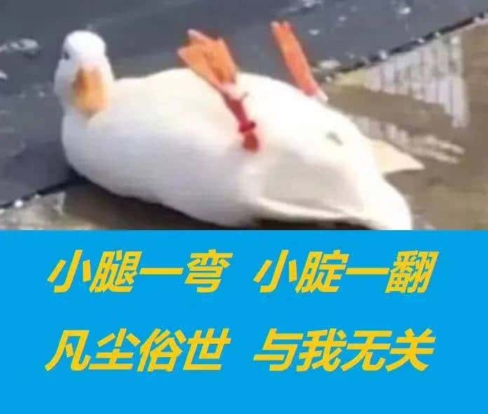 JJ斗地主怎么换大米