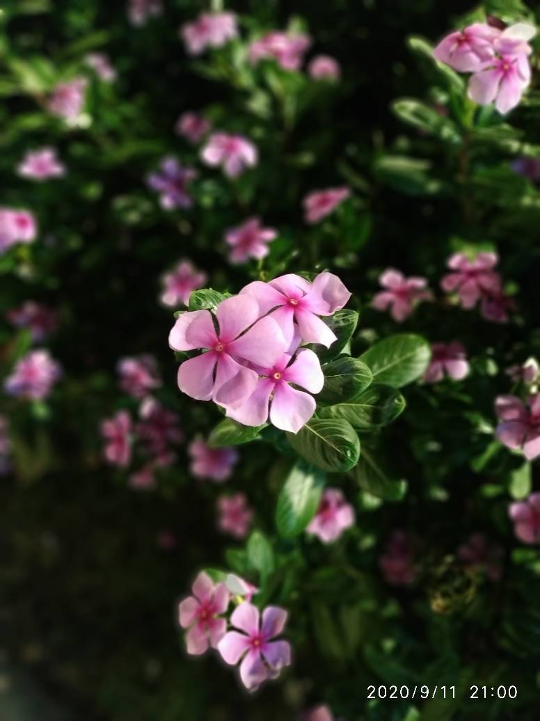 JJ金币兑换码怎么兑换