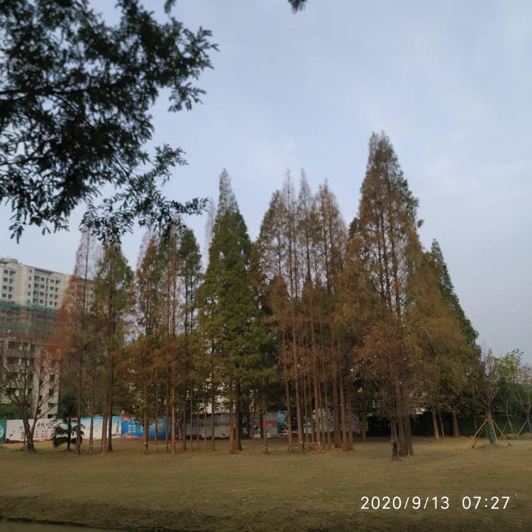 JJ斗地主兑换商城在哪