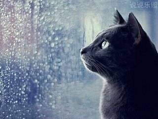 JJ比赛账号怎么注销