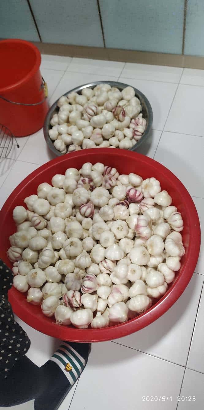 JJ麻将怎么助力