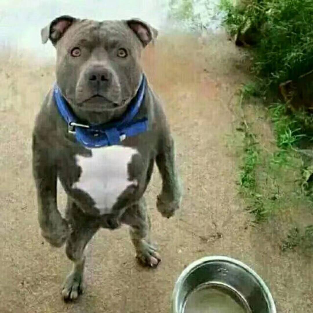 JJ比赛金商怎么转的金币