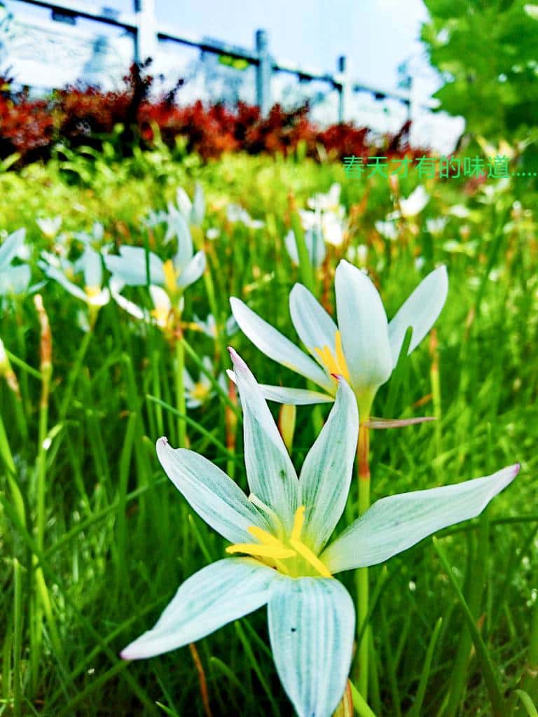 100万JJ是多少人民币