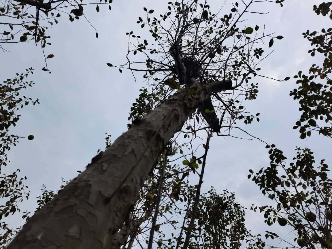 JJ斗地主怎样助力