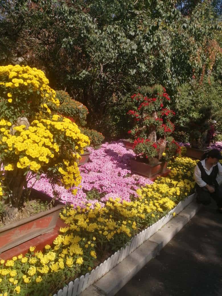 JJ斗地主购买金豆