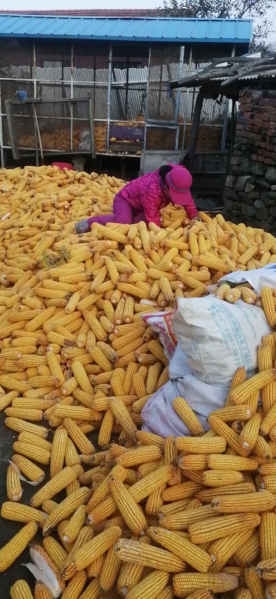 JJ比赛平台登录入口