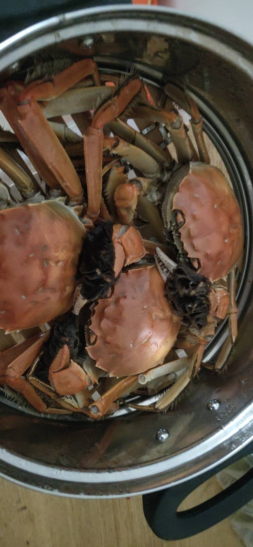 卖JJ金币合法吗最新消息