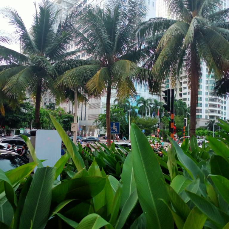 JJ捕鱼官网入口