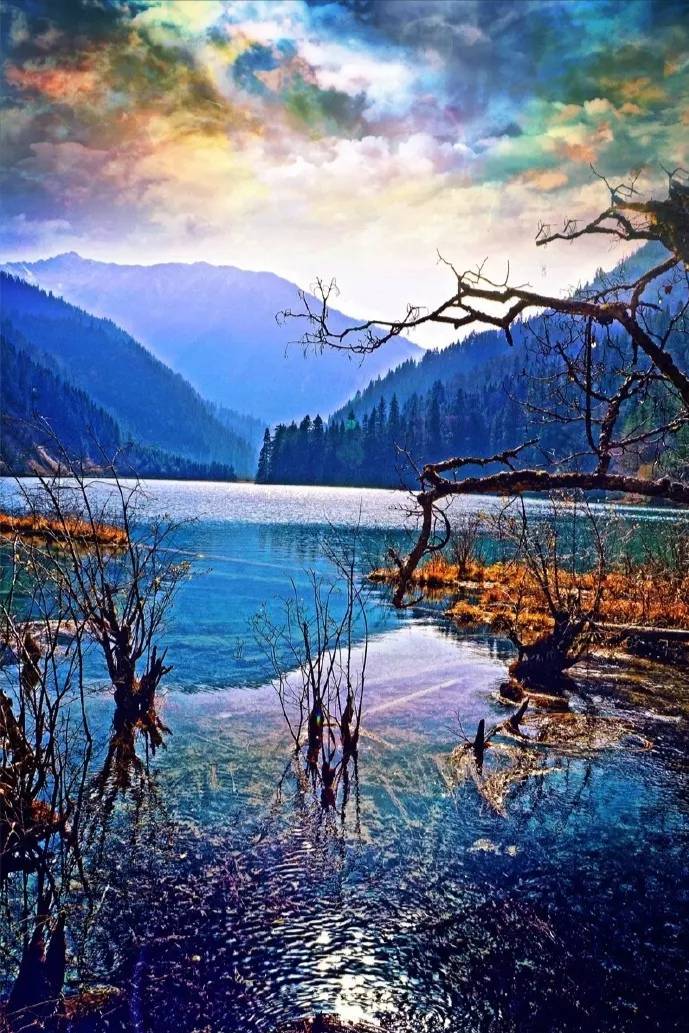 JJ活跃积分兑换流程详解