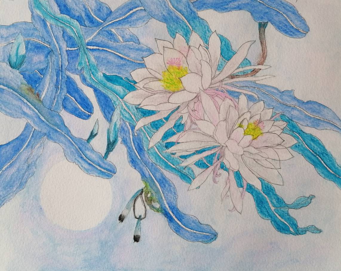 JJ比赛租号商人