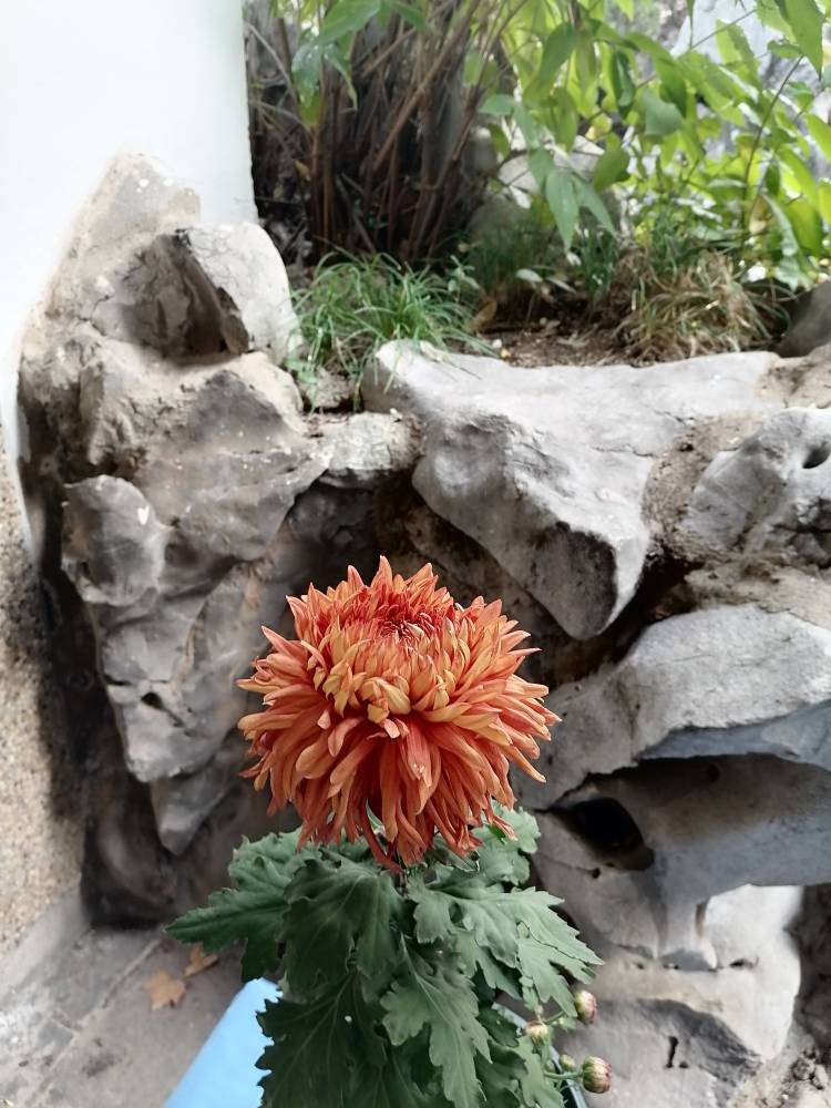 JJ斗地主棋牌合集