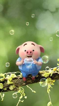 JJ斗地主账号出售价格表