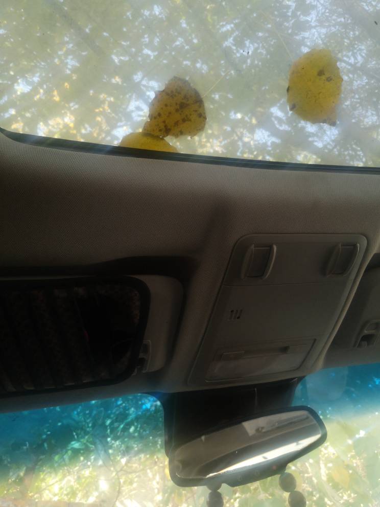 JJ斗地主回收账号最简单方