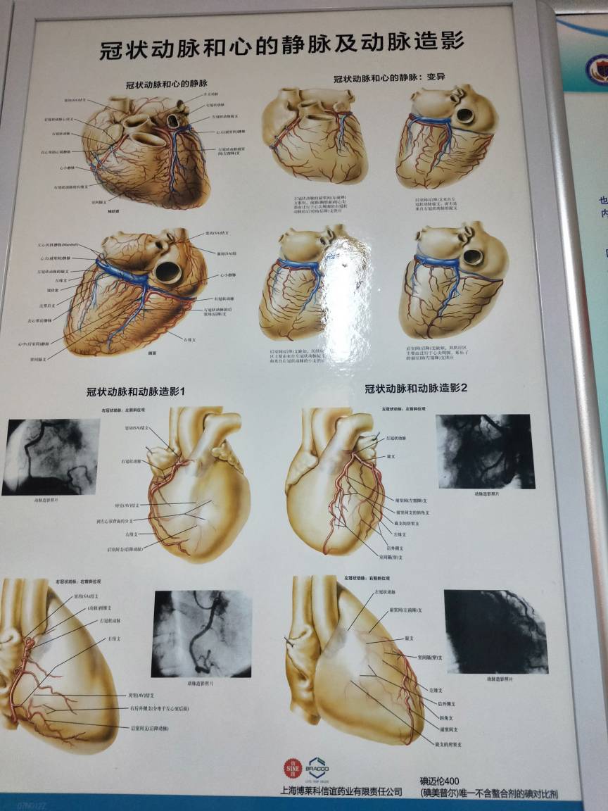 买卖JJ金币警察能抓吗