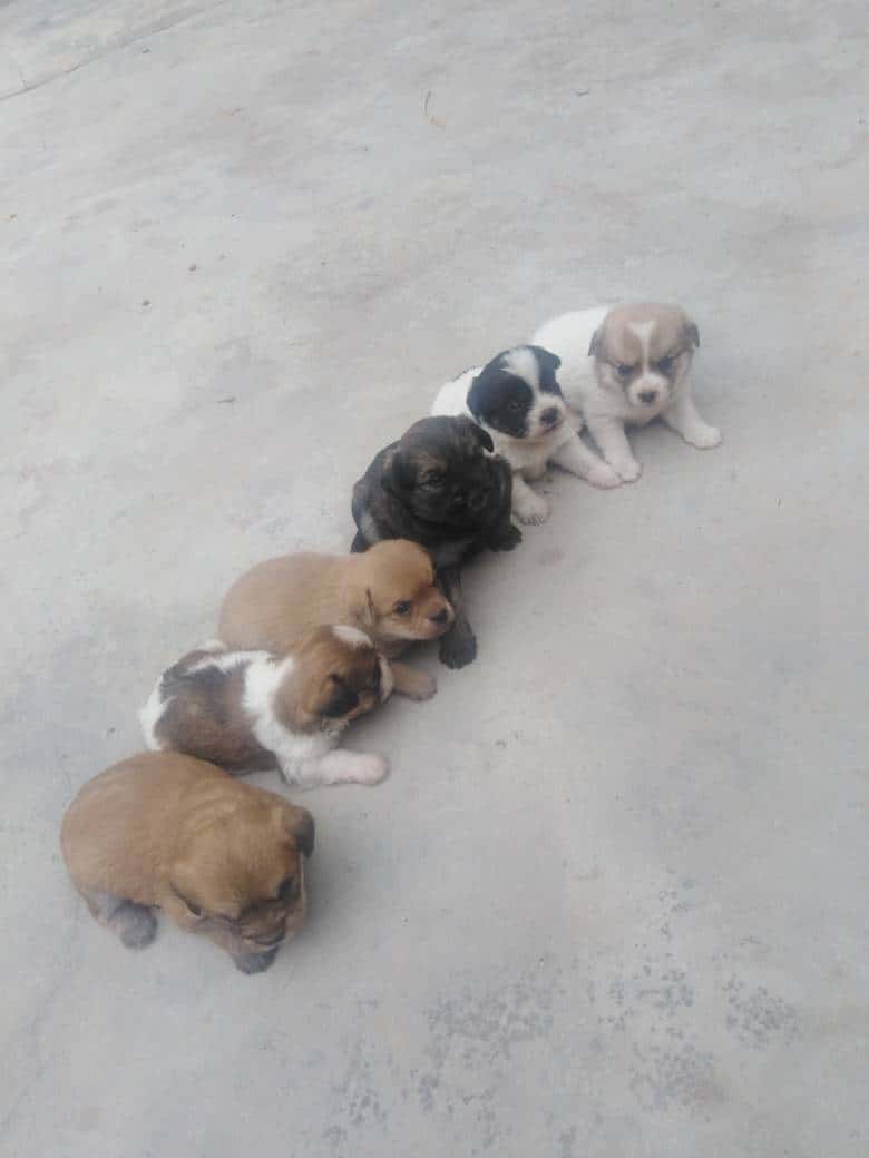 JJ保险箱哪里去了