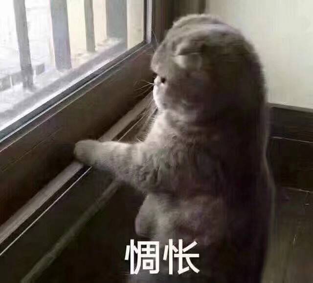 JJ象棋如何注销账号