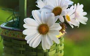 JJ斗地主100块怎么算