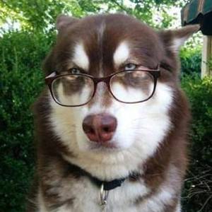 JJ捕鱼千炮出租号