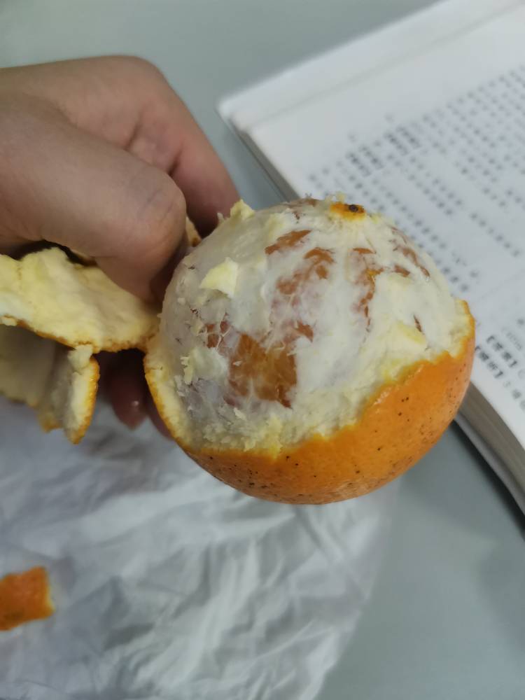 JJ打鱼租号联系方式