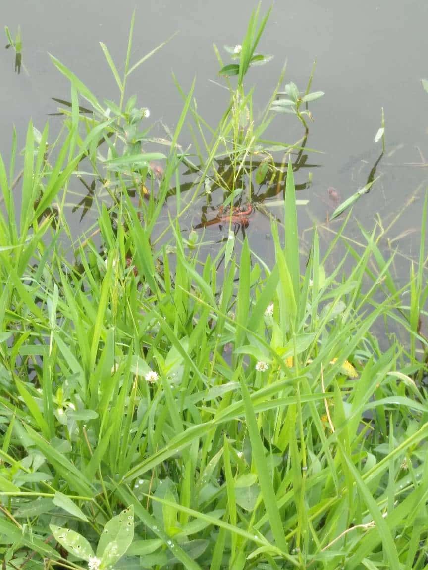 JJ斗地主金币交易平台