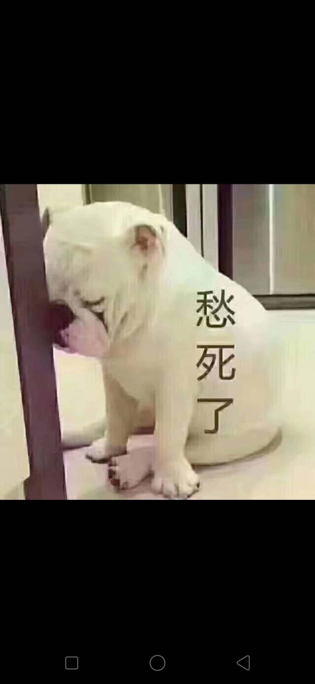 JJ斗地主账号哪里可以交易