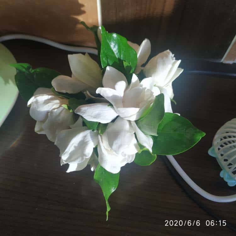 JJ租号诚信金商