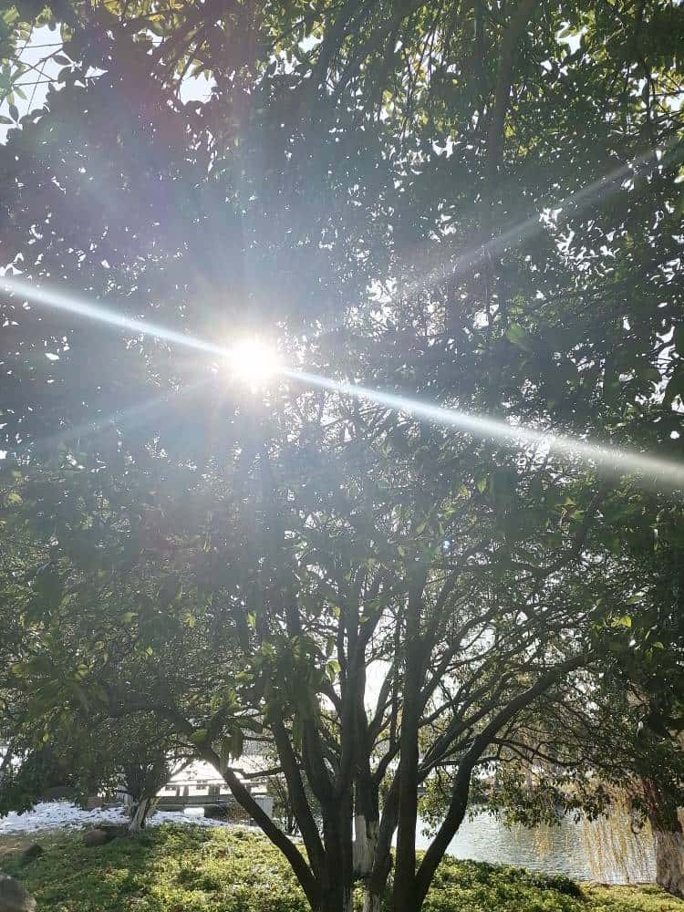 JJ游戏多倍租号