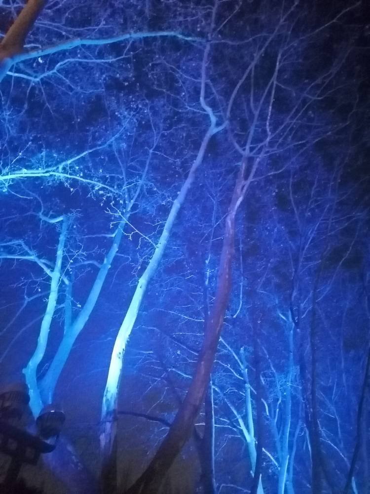 JJ捕鱼怎么打金币教程