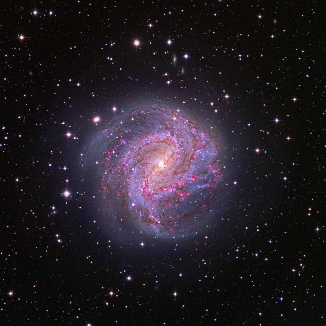 JJ斗地主租号图商