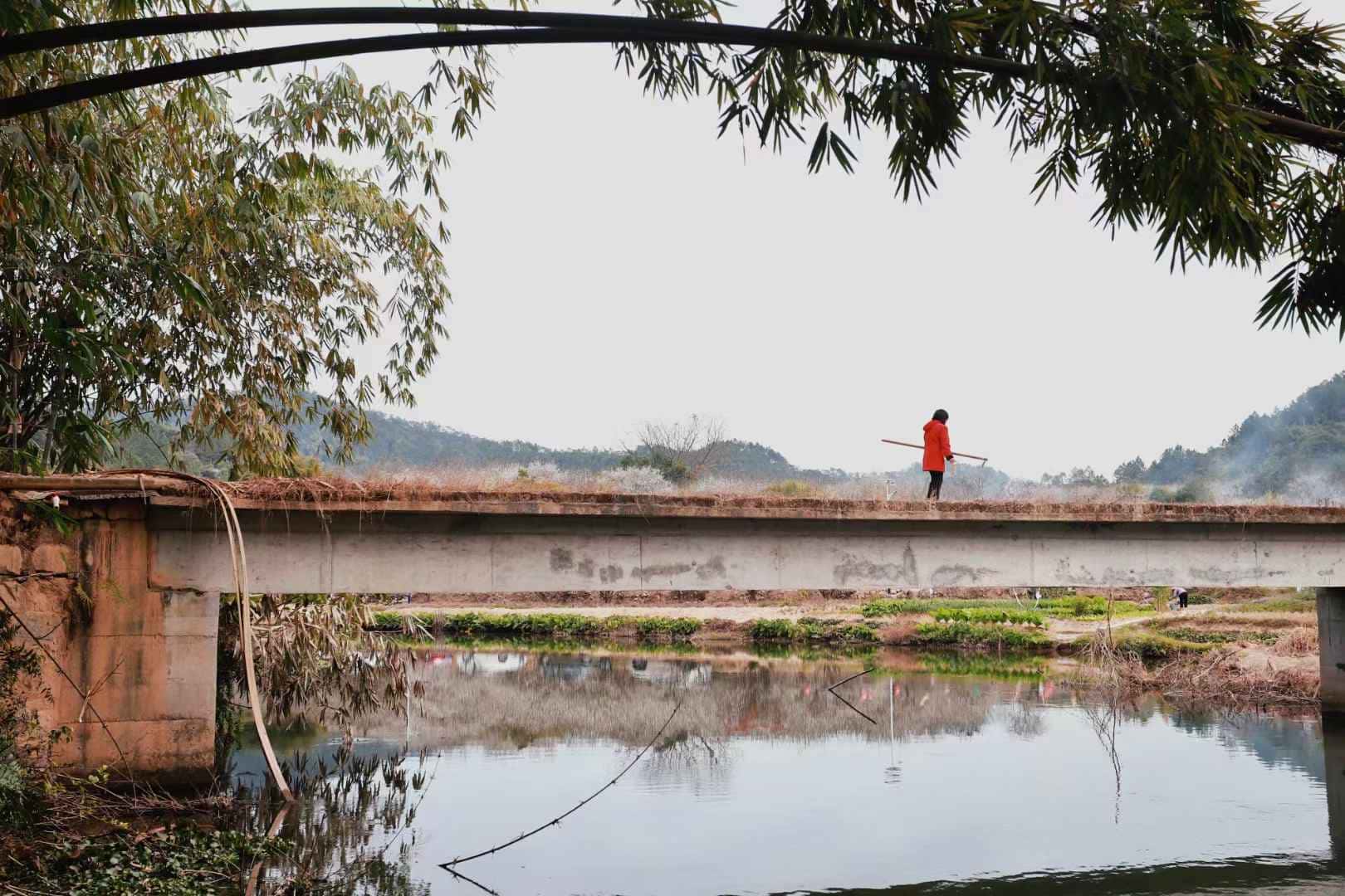 JJ捕鱼官网进入