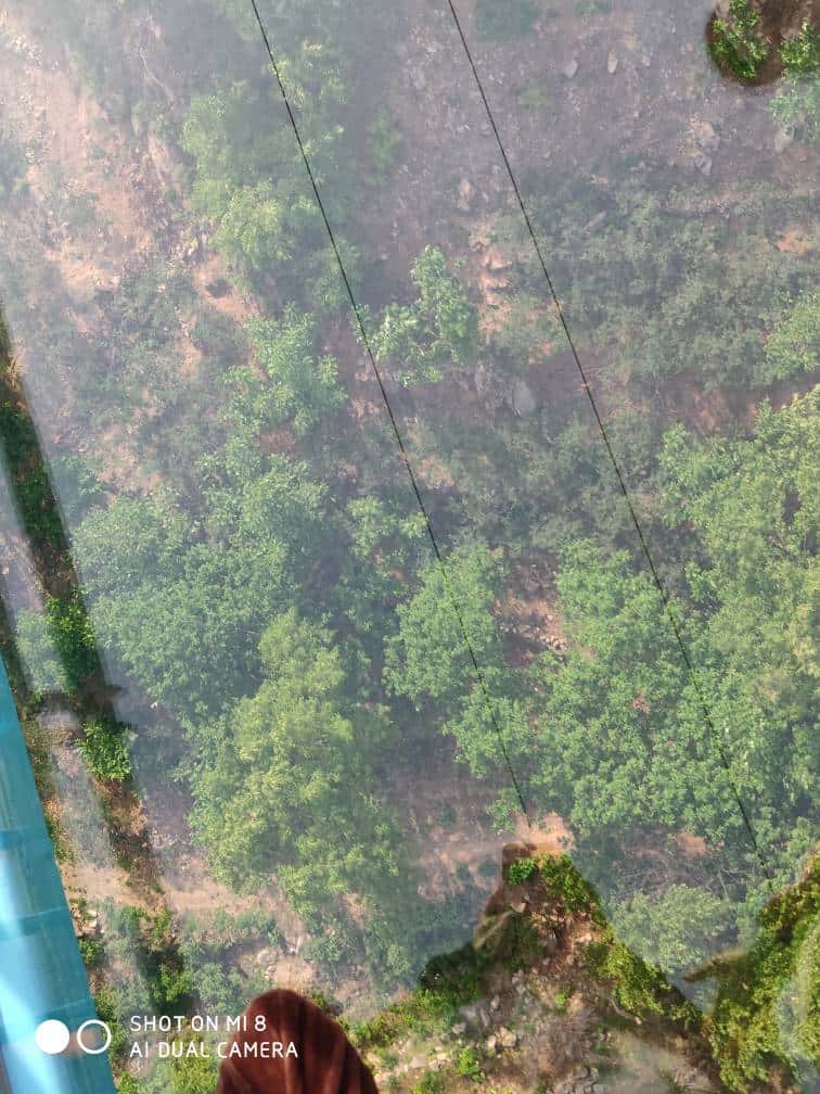 JJ斗地主金币兑换码免费领