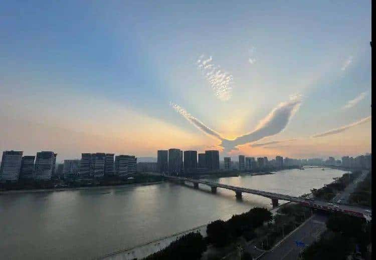 JJ斗地主怎么进众筹