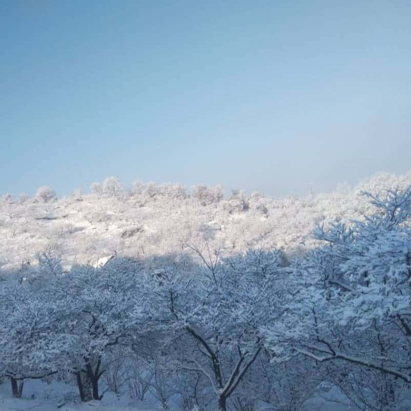 JJ斗地主怎么给朋友金币