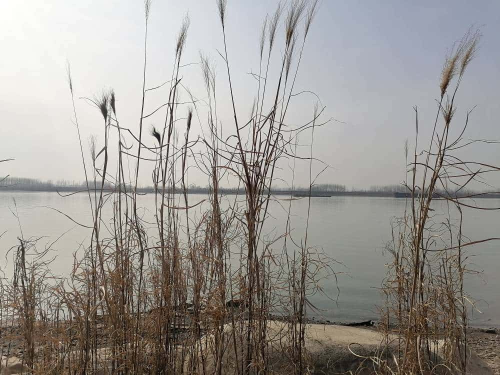 JJ金币金币出售