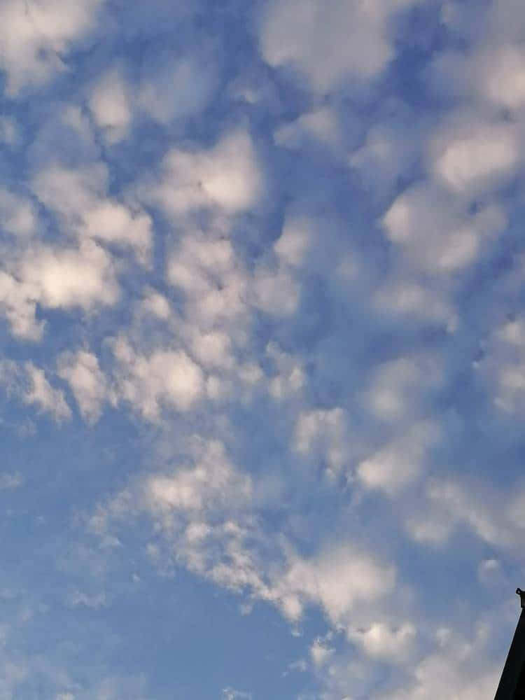 JJ捕鱼币调整最简单技巧